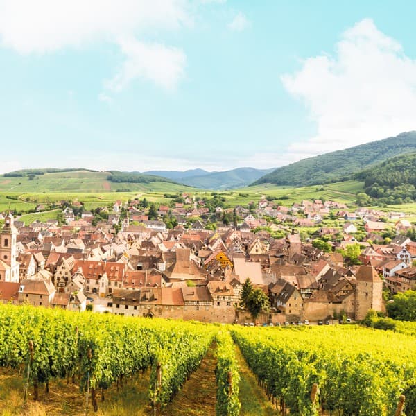 Weinlandschaft in Frankreich