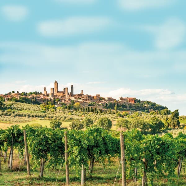 Weinlandschaft in Italien
