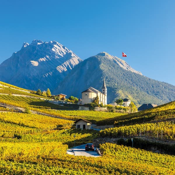 Weinlandschaft in der Schweiz