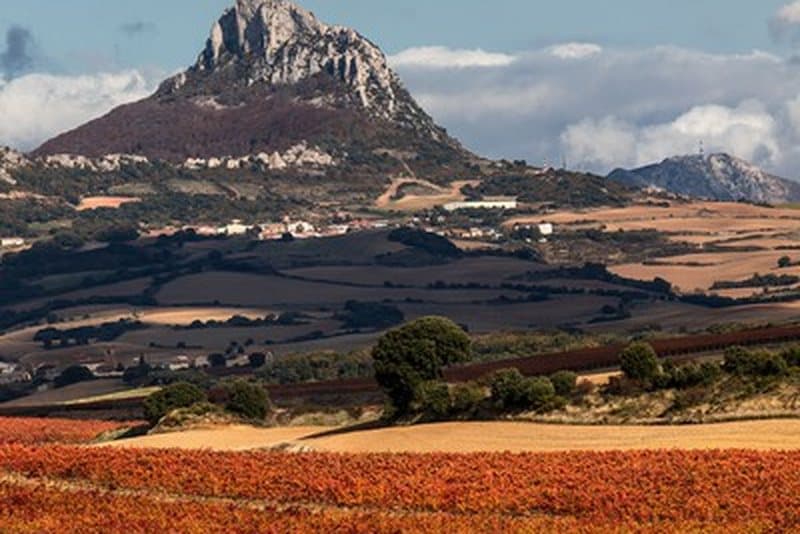 Weinberge der Bodegas Jalón in der Rioja
