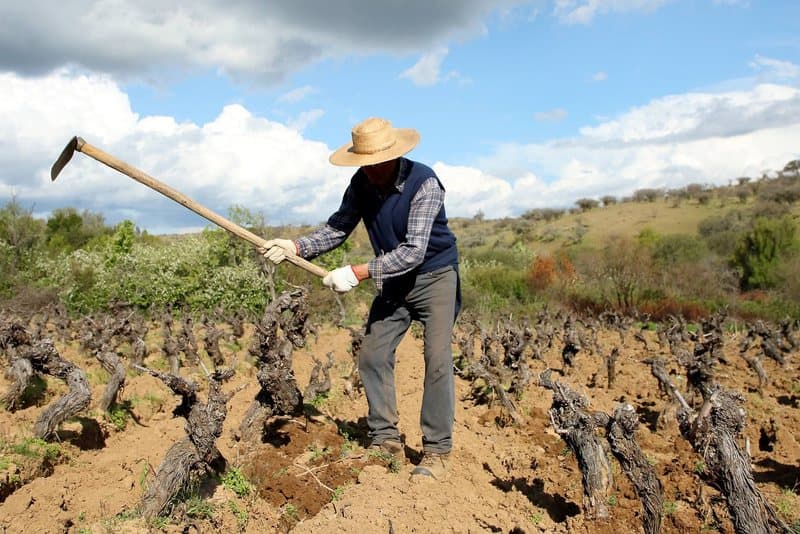 Winzer der Garage Wine Co. in Chile